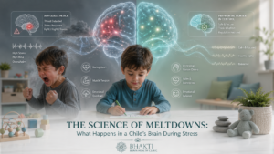 The Science of Meltdowns